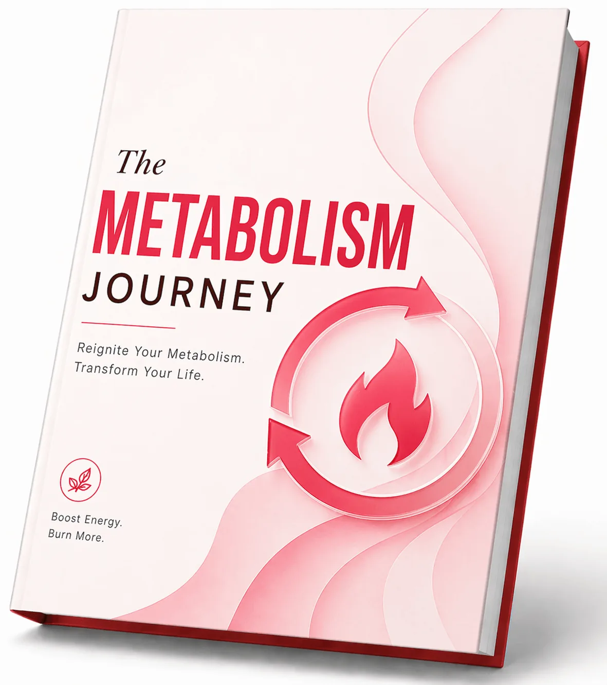 The Metabolism Journey bonus guide